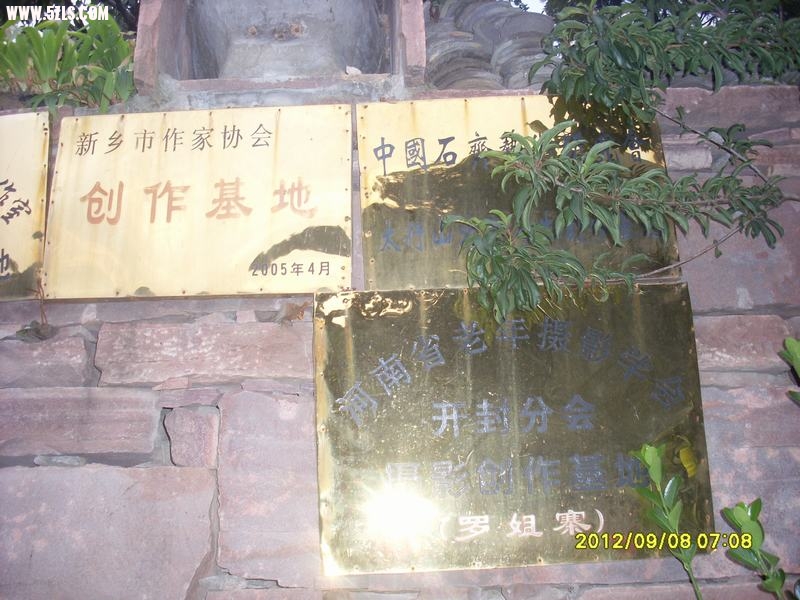 SL389235.JPG