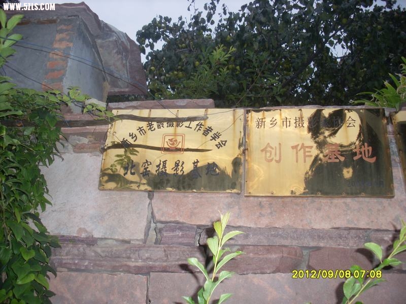 SL389236.JPG