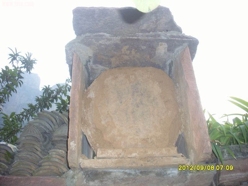SL389237.JPG