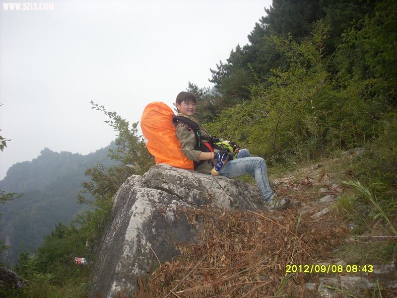 SL389250.JPG