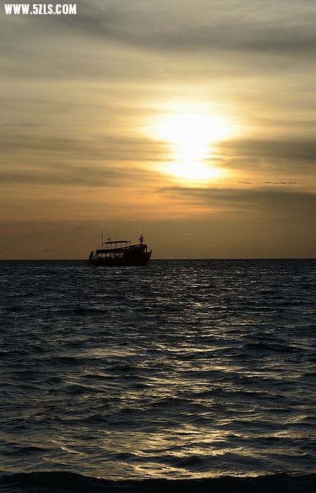 DSC_0787.jpg