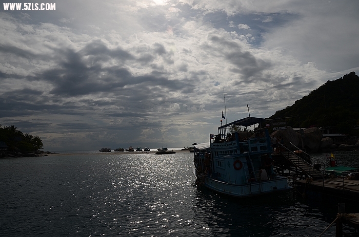 DSC_1004.jpg