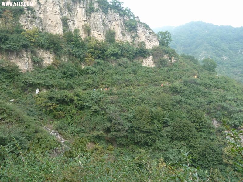 L1060104.JPG