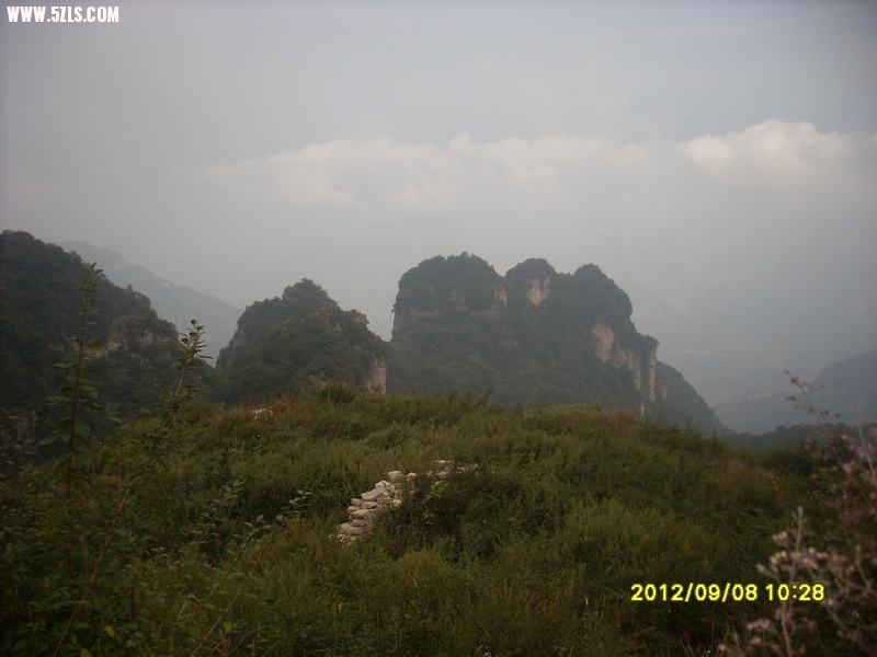 SL389275.JPG