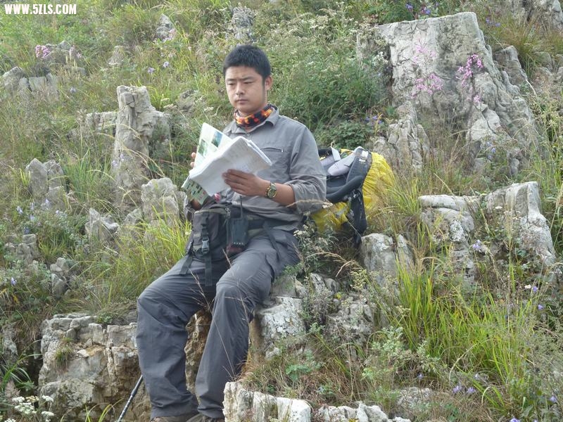 005.JPG