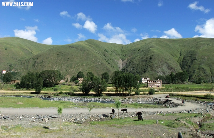 DSCF8688.JPG