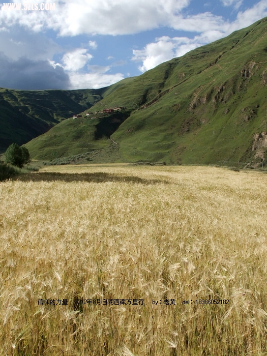 DSCF8931.JPG
