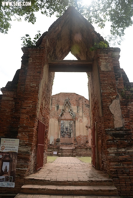 DSC_0066.jpg
