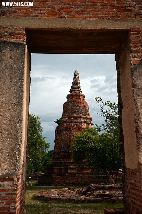 DSC_0220.jpg
