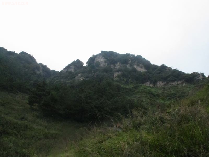 IMG_2977.JPG