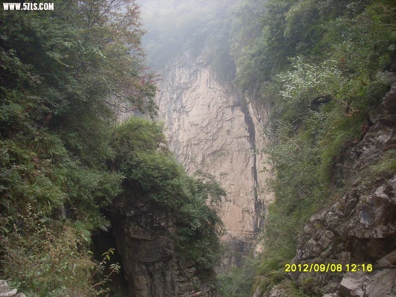 SL389301.JPG