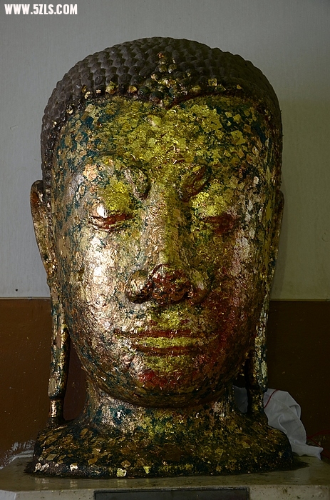 DSC_0516_nEO_IMG.jpg