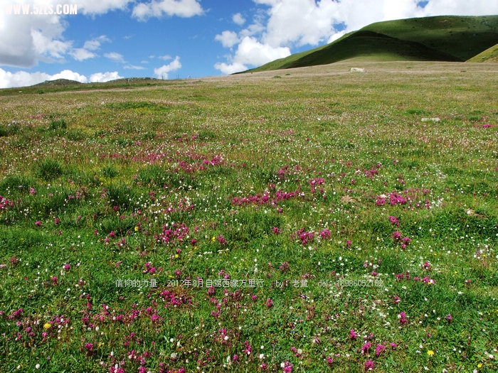DSCF9316.JPG