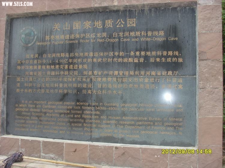 SL389370.JPG