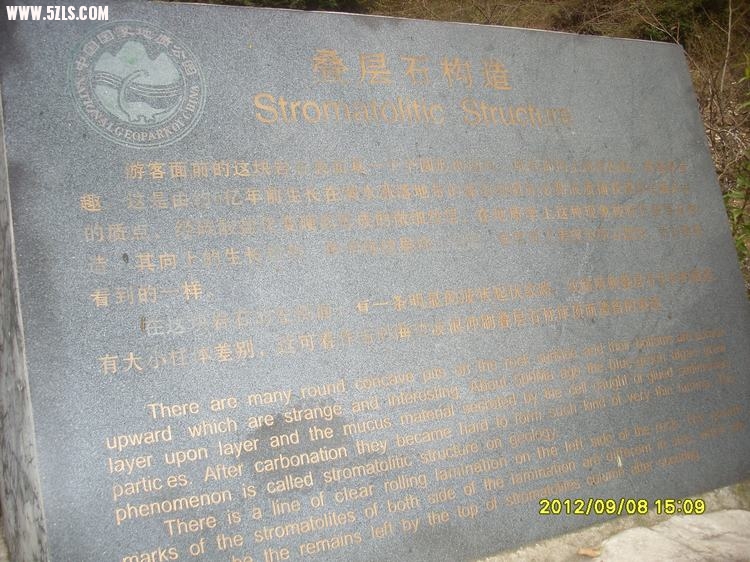 SL389382.JPG