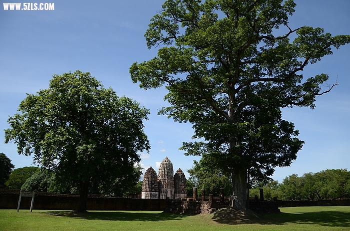 DSC_0040.jpg