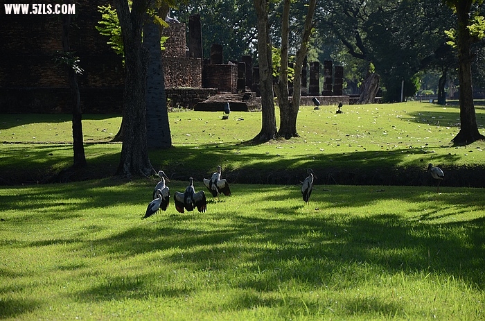 DSC_0079.jpg