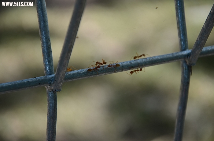 DSC_0246.jpg