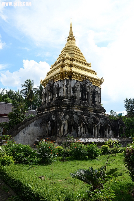 DSC_0552.jpg
