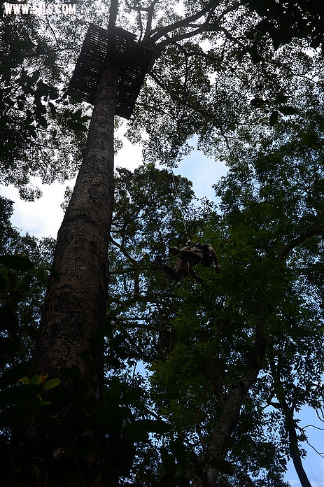 DSC_0602.jpg