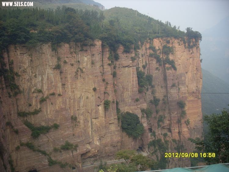 SL389474.JPG