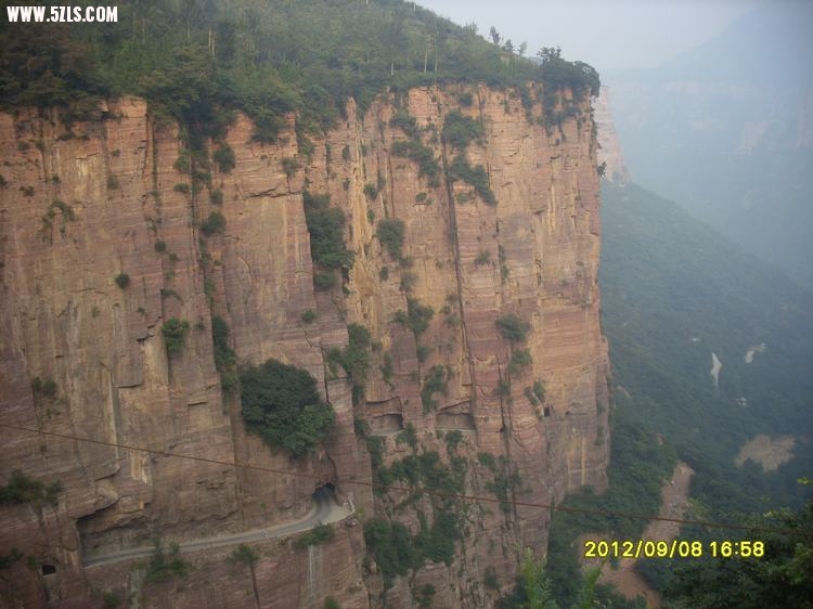 SL389477.JPG