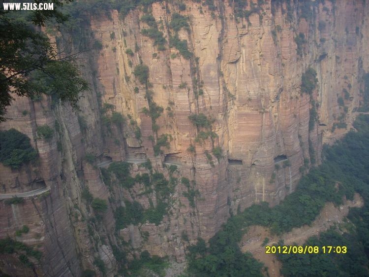 SL389480.JPG