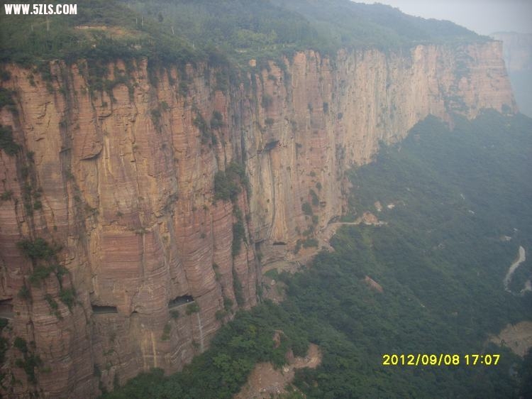 SL389491.JPG