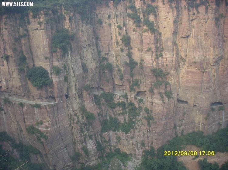 SL389490.JPG