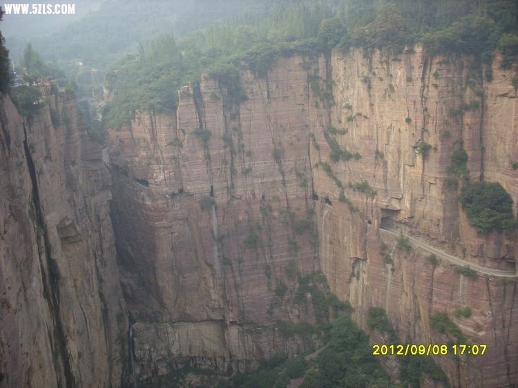SL389492.JPG