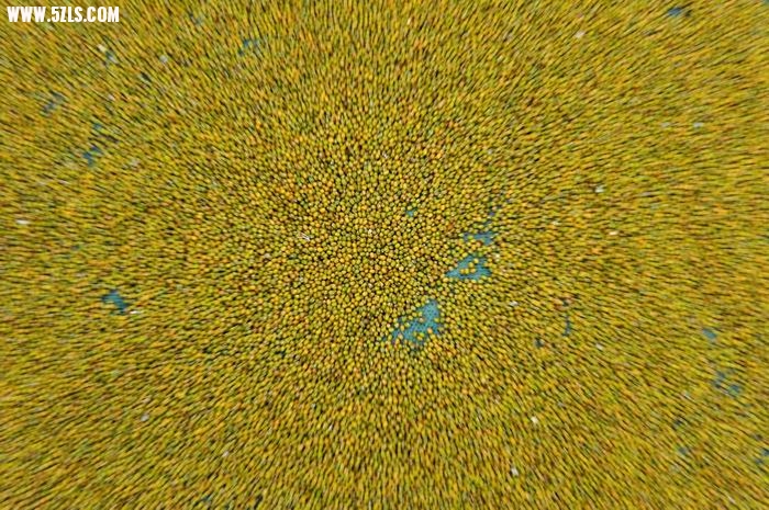 С 057.jpg