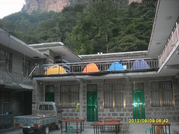 SL389501.JPG