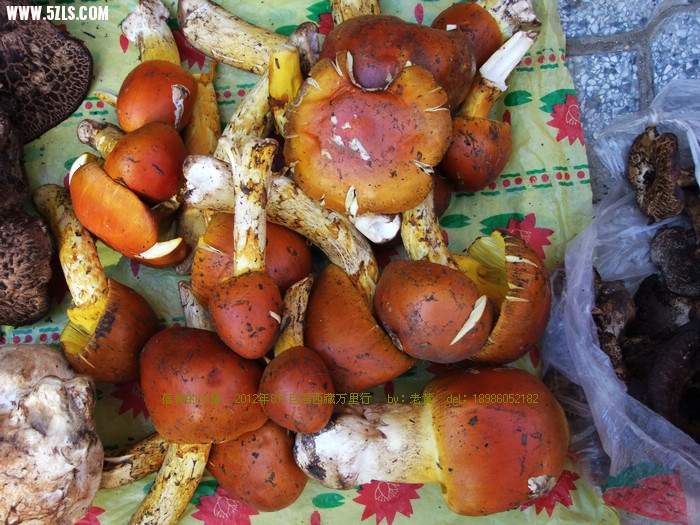 DSCF9543.JPG