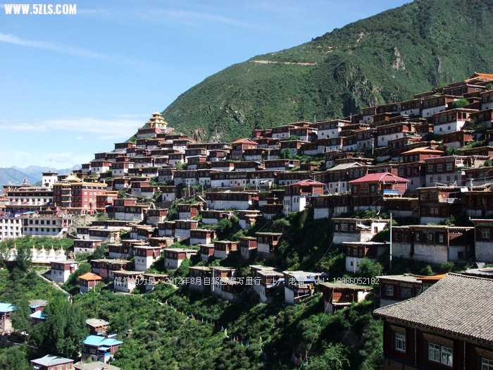 DSCF9560.JPG
