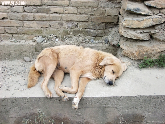 DSCF9804.JPG