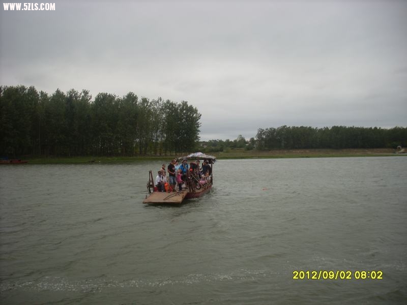 SL389059.JPG