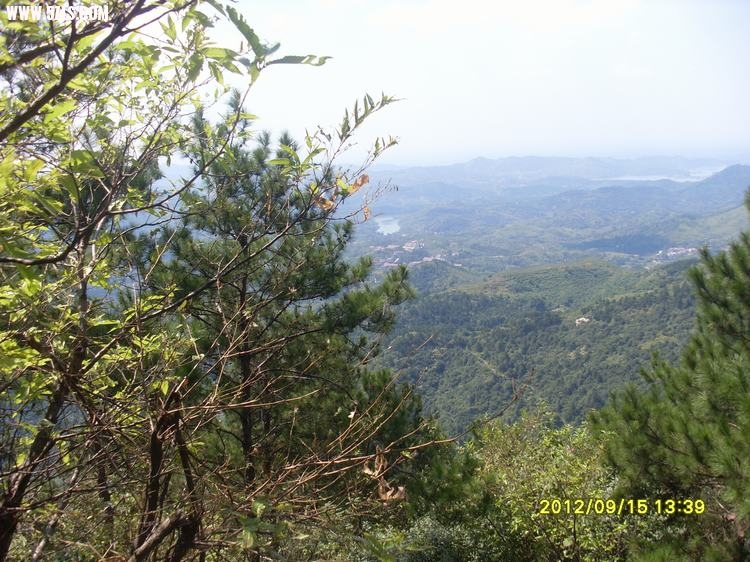 SL389608.JPG