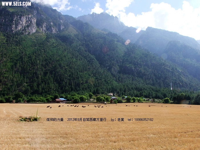 DSCF0961.JPG