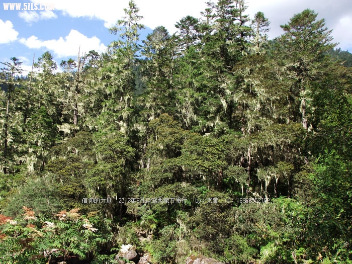 DSCF1093.JPG