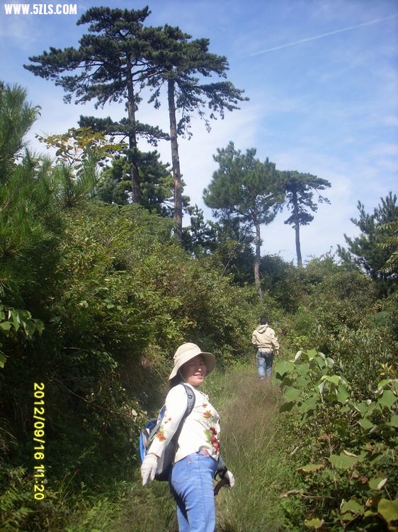 SL389780.JPG