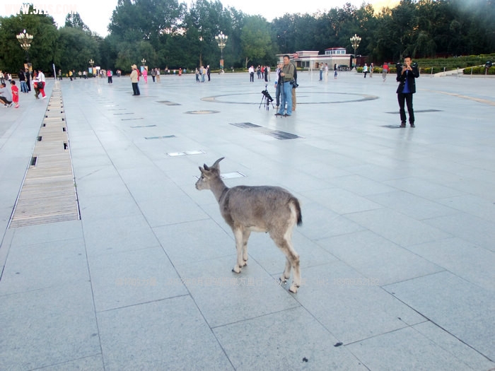 DSCF1562.JPG