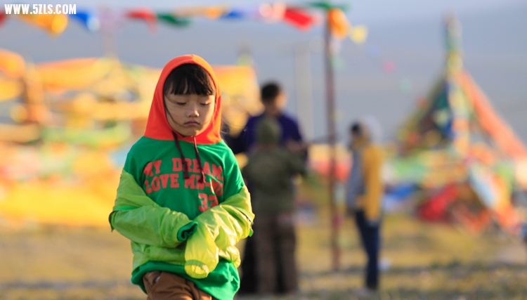 _MG_7309.JPG