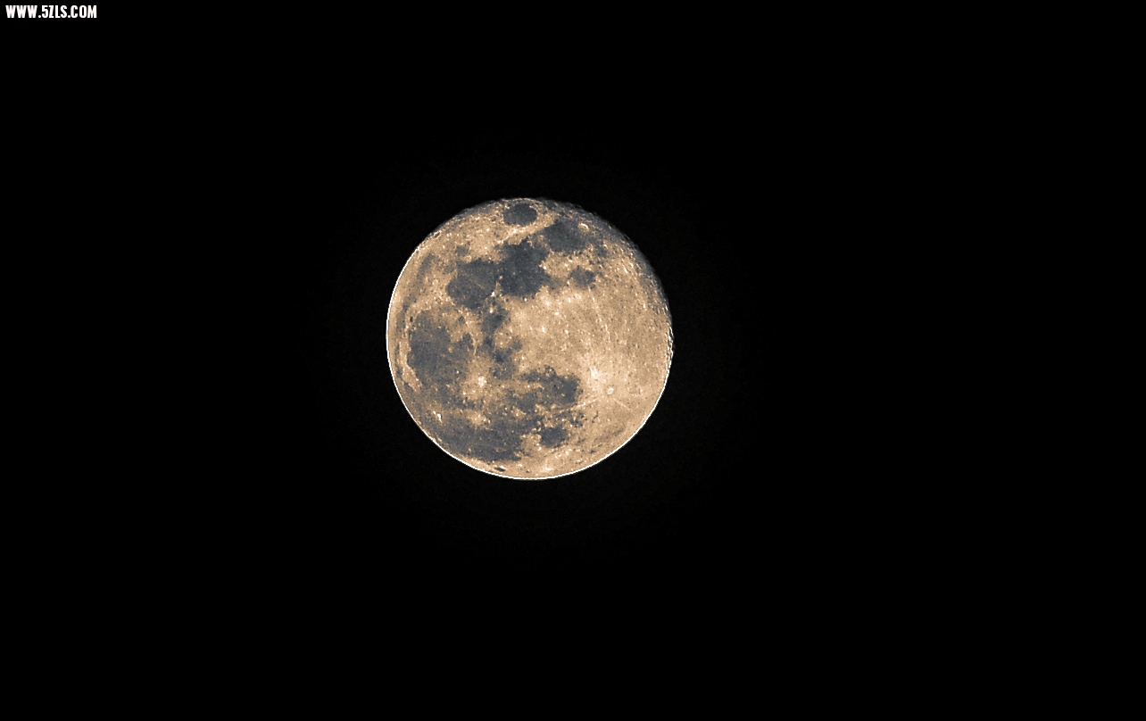 DSC_2731.jpg