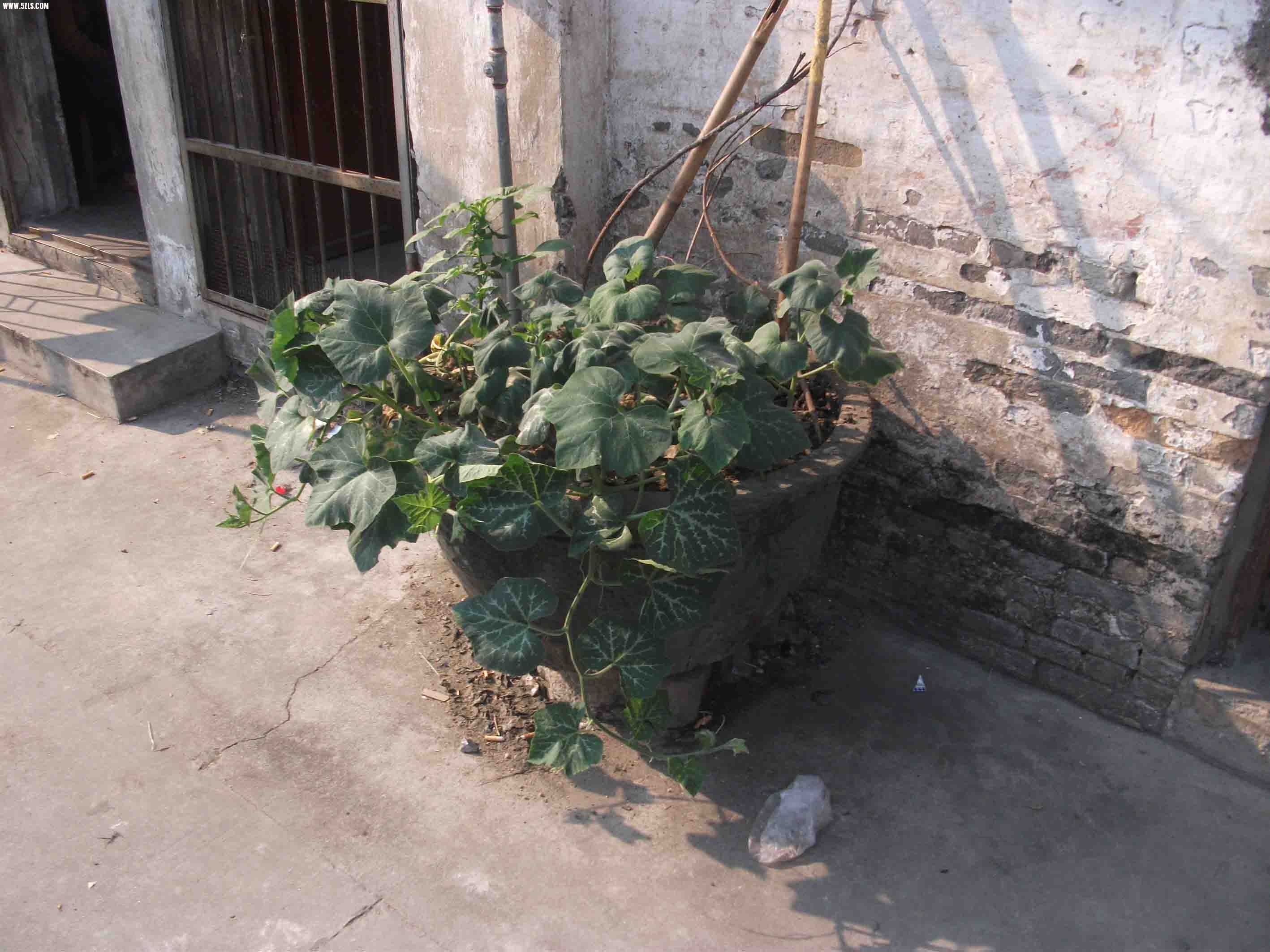 DSCF7812.jpg
