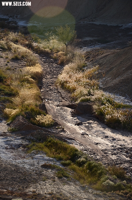 DSC_0095.JPG