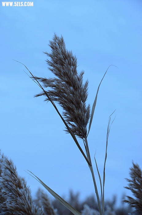 DSC_0448.JPG