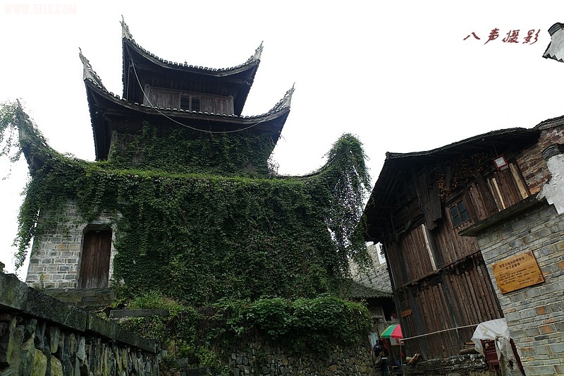 爬满绿色植物的城墙，估计也是它们，防止了城墙的老化