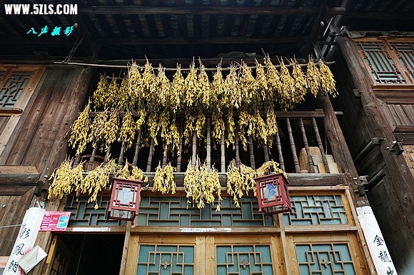 自己凉的粮食