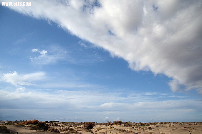 DSC_0515.JPG