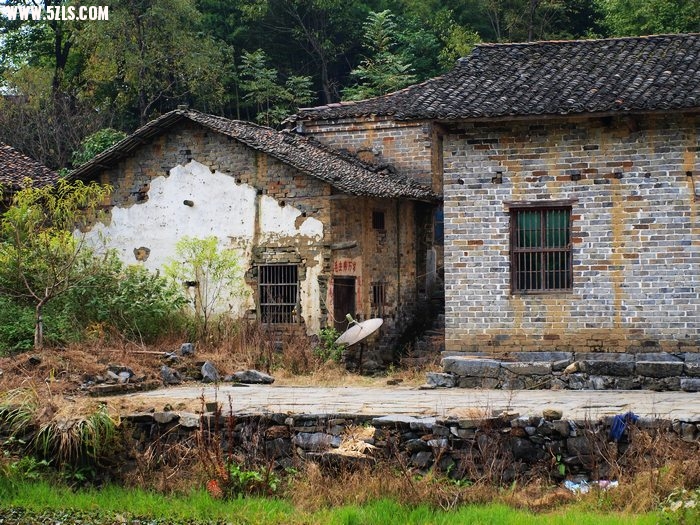 PA030295.jpg